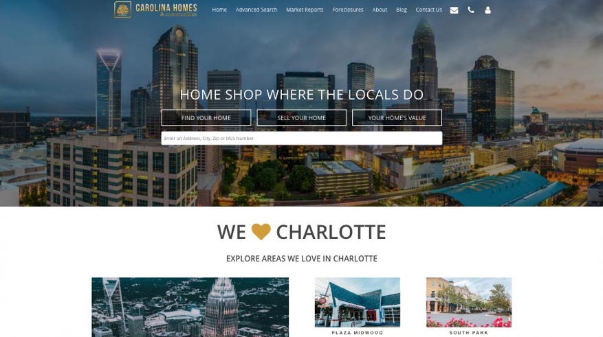 portfolio example Carolinas website Screenshot